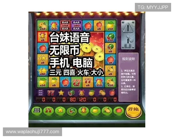 在老虎机中文站找到最专业的游戏策略和实用技巧提升中奖率